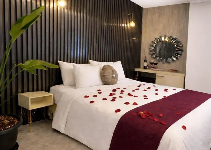 Bed & Breakfast Zebra Buca