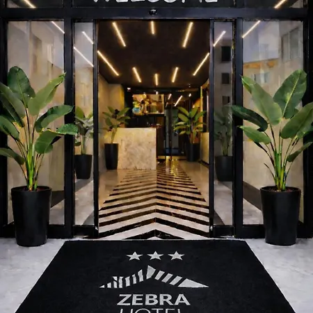 Zebra Buca