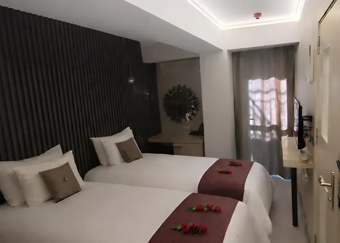 Zebra Nocleg ze śniadaniem *